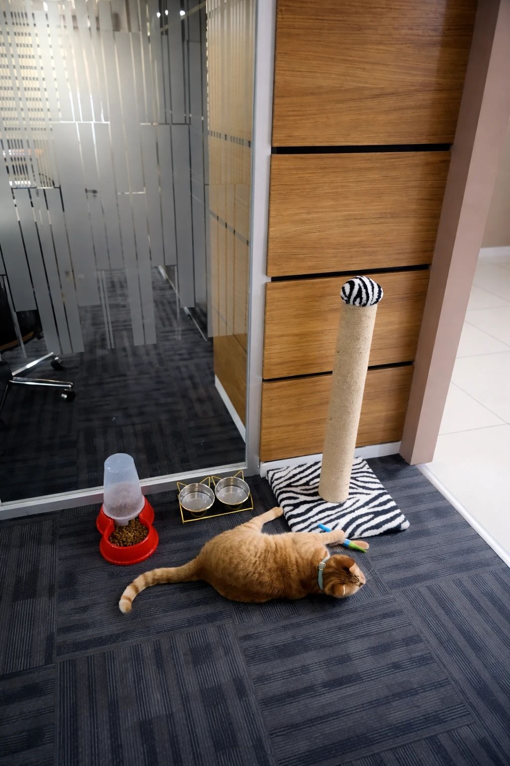 Aydın Hukuk Bürosu — Büro Yaşamı